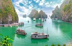 14 Days Single Entry Tourist Visa