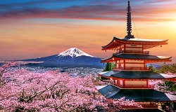 14 Days Single Entry Tourist Visa