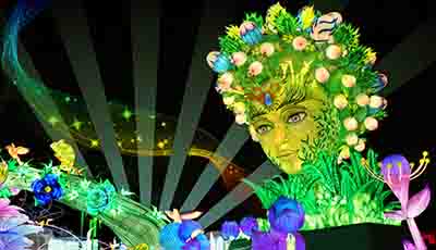 Museum of the Future